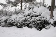 DSC_5372.JPG